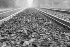 IMG_1826-rails-wb-1826