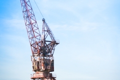 La-grande-grue