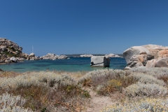 IMG_0509-1