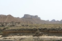 IMG_6768-1